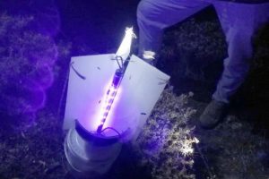 Kelebek yakalayan yabancı uyruklu 2 kişiye para cezası