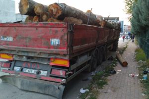 Bursa'da alkol alırken &uuml;zerine 200 kiloluk tomruk d&uuml;şt&uuml;