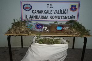 &Ccedil;anakkale'de kenevir operasyonu yapıldı