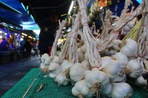 Bursa'da sarımsağın kilosunun 100 lirayı bulması bekleniyor