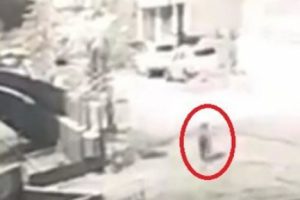 Okul bah&ccedil;esine ayı girdi