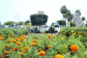 Belediye 100 kadını istihdam edecek