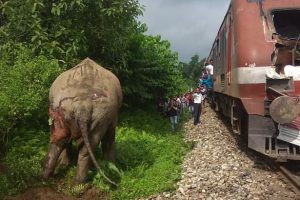 Hindistan'da tren file &ccedil;arptı