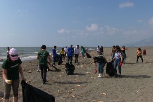 Greenpeace'ten temizlik ve marka denetimi