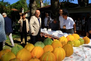 Yaylanın en g&uuml;zel kavunları yarıştı