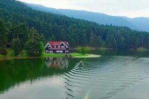Abant tatilcilerin uğrak yeri oldu