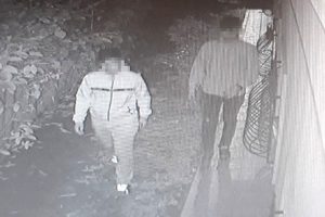 &Ouml;r&uuml;mcek adam hırsızlar kameraya takıldı