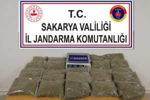 Tabuttan bonzai &ccedil;ıktı