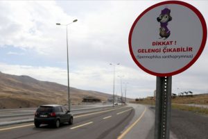 Elif'in elektronik postası gelengilere hayat olacak