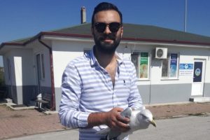 Yaralı martı hayvan barınağına teslim edildi