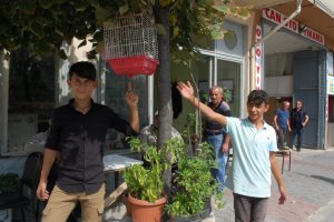 Malkaralı vatandaşlar yavru kuşu hayretle izledi