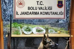 Uyuşturucu operasyonunda 2 tutuklama