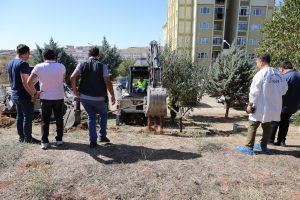 Dedesinin g&ouml;zleri &ouml;n&uuml;nde &ouml;ld&uuml;r&uuml;ld&uuml;ğ&uuml;n&uuml; s&ouml;yledi, polis kazı başlattı