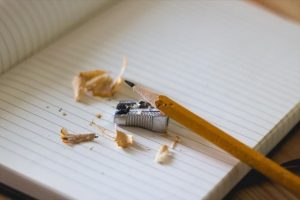 2019 Eğitimin İ&ccedil;eriği ikinci dosyası yayımlandı
