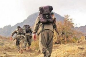 2 PKK'lı ter&ouml;rist etkisiz hale getirildi