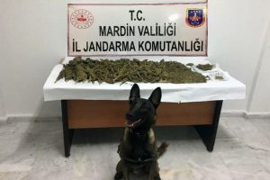 Ara&ccedil;ta 15 kilo esrar ele ge&ccedil;irildi