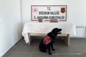 Yolcunun sırt &ccedil;antasında bonzai ele ge&ccedil;irildi