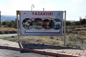 Kayseri'de 'tehlikeli k&ouml;pek' uyarısı