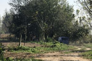 Tarlada vurulmuş halde bulunan yaşlı adam hastanede &ouml;ld&uuml;