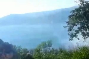 Beykoz'da orman yangını!