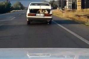 Bagajında yolcu taşıyan s&uuml;r&uuml;c&uuml; ehliyetsiz &ccedil;ıktı