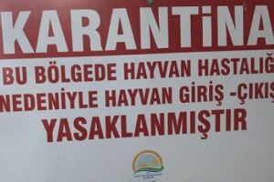 Denizli'de kuduz karantinası