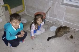 Minikler, 4 Ekim D&uuml;nya Hayvanları Koruma G&uuml;n&uuml;'ne dikkat &ccedil;ekti
