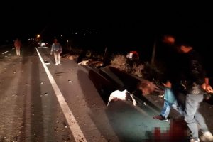 Koyun s&uuml;r&uuml;s&uuml;ne otomobil &ccedil;arptı