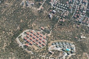Villa yapımı i&ccedil;in 2.5 milyon zeytin ağacı kesildi