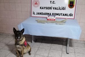 Jandarmadan uyuşturucu operasyon