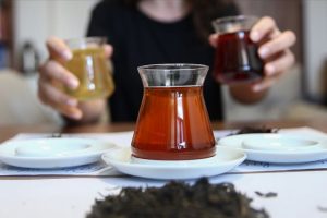 'T&uuml;rkiye'de ilk kez oolong &ccedil;ayı &uuml;rettik'