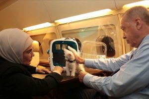 Emine Erdoğan'dan 'Hayvanları Koruma G&uuml;n&uuml;' paylaşımı