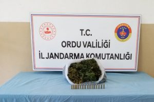 Ordu'da uyuşturucuya ge&ccedil;it yok