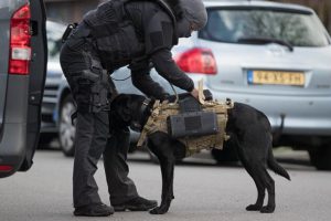 Ayakkabıları ve k&ouml;peği ile camiye baskın yapan polise tepki