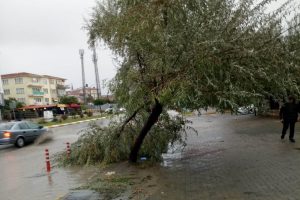 Ağa&ccedil;lar kırıldı, yollar g&ouml;le d&uuml;nd&uuml;