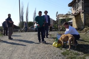 Sinop'ta yaylada &ouml;l&uuml;me terk edilen k&ouml;pekler kurtarıldı