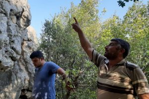 Kayalıkta mahsur kalan "Karakızı" AFAD ve jandarma kurtardı