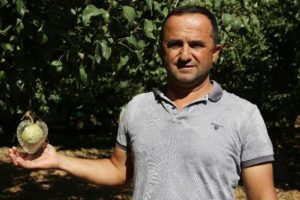 Tanesi 10 lira! Sevgililerden b&uuml;y&uuml;k ilgi var