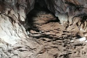 Define avcıları su&ccedil;&uuml;st&uuml; yakalandı