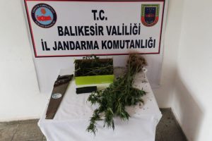 Jandarmadan uyuşturucu operasyonu