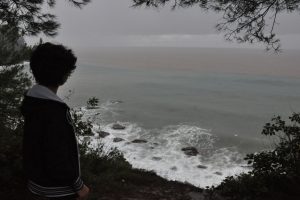 Karadeniz'in rengi değişti