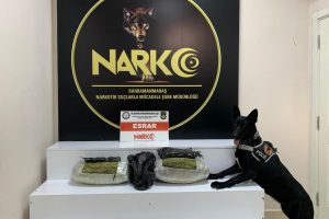 Kahramanmaraş'ta uyuşturucu operasyonu