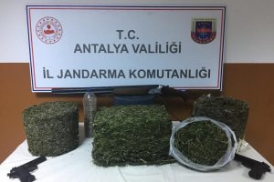 Jandarma aradığı uyuşturucuyu arı kovanının i&ccedil;inde buldu