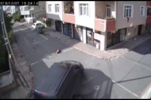 Yolda uyuyan k&ouml;peği ezip yoluna devam etti