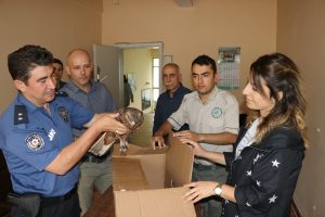 Akıma kapılan kızıl şahine polis sahip &ccedil;ıktı