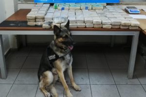 Habur'da 105 kilo eroin ele ge&ccedil;irildi