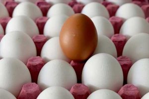 Yumurta ihracat&ccedil;ılarından ABD hamlesi