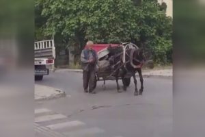 Ayağı sakat atla hurda toplayan kişiye sosyal medyada tepki