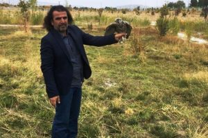 Tedavileri tamamlanan kuşlar yaşam alanlarına bırakıldı