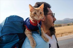 'Azman' otostopla T&uuml;rkiye'yi geziyor